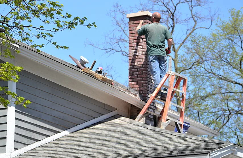 Chimney & Fireplace Inspections Services in East Patchogue, NY
